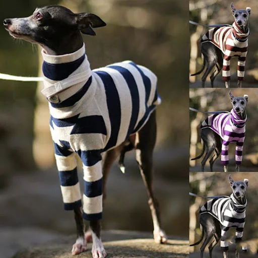 Title 5, Striped Comfortable Two-legged High Necked Cute...