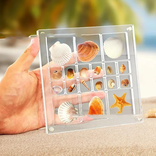 Title 6, Simple and Creative Decorative Shell Storage Bo...