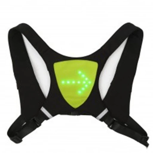 Title 4, Wireless remote control LED luminous vest for e...
