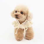 miniatures image - 2