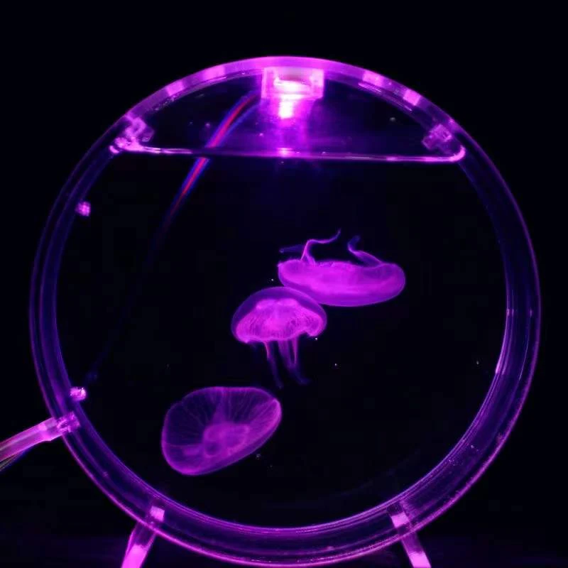 Title 1, Aquarium desktop jellyfish tank starfish mini t...