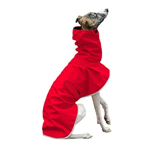Title 7, Wish belt pet clothing, four-legged, multi-colo...