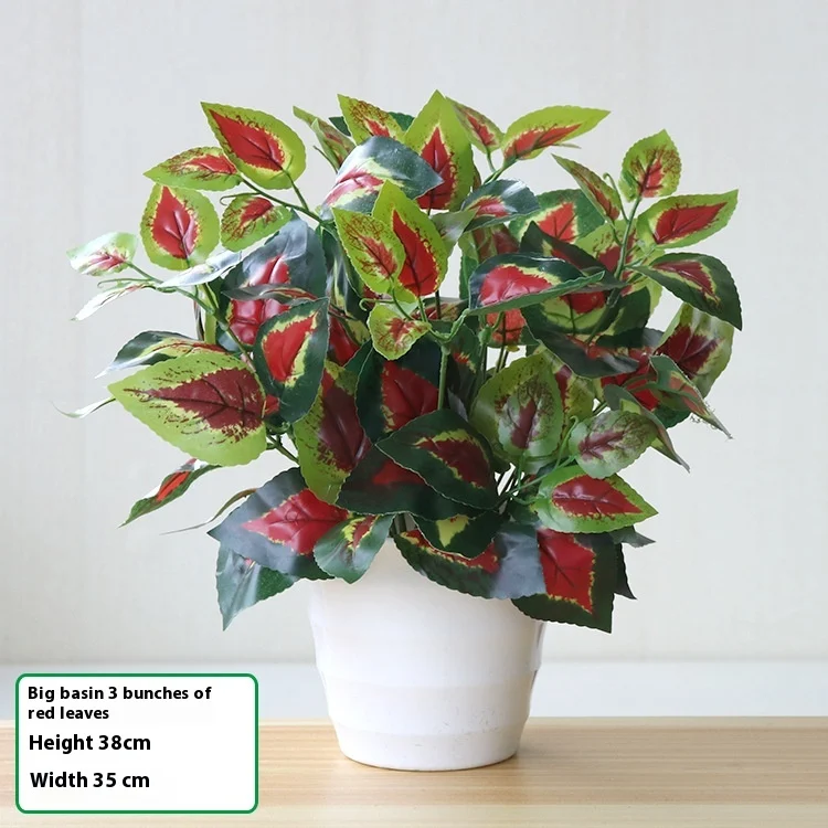 product image - 34