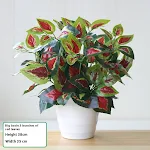 miniatures image - 34