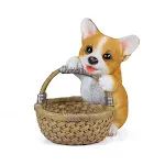 Corgi