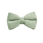 Bow2