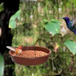 Bird Feeder Bird Water Bowl Bird Waterer with Metal Hooks Hanging Bird Bath for Patio Outdoor Yard Outside — photo 1