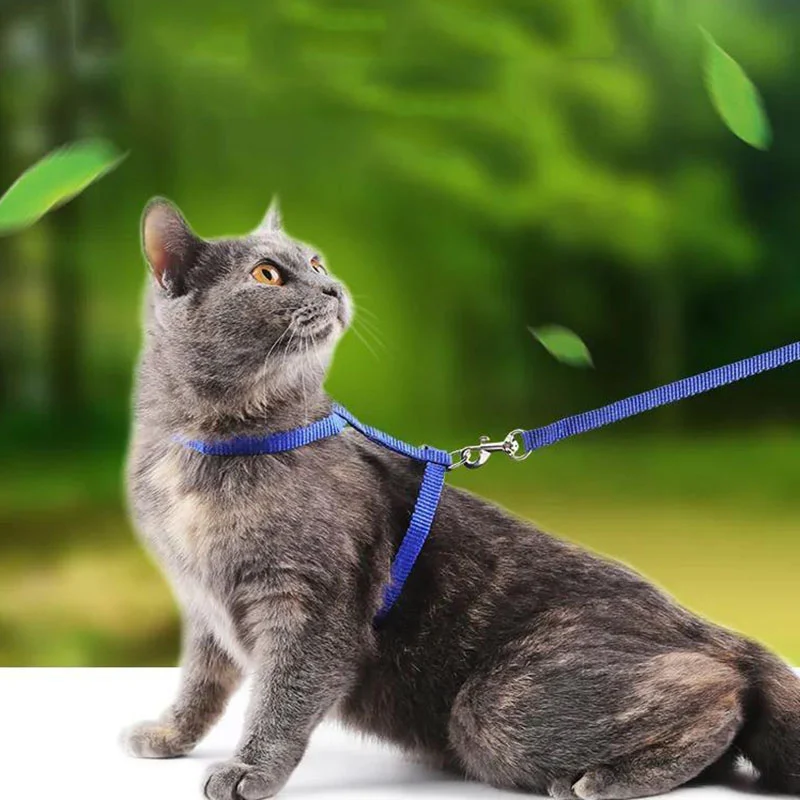Title 1, Escape-proof Small Dog Cat Harness Collar with ...