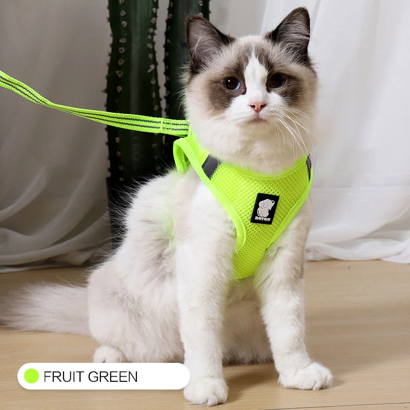 Title 9, Anti-strike cat harness