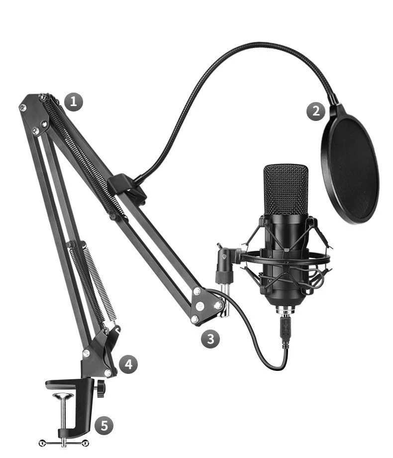 Title 5, Professional microphone set for recording and l...