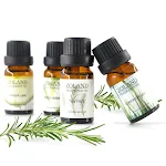 miniatures image - 0