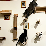 miniatures image - 0