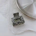 miniatures image - 12