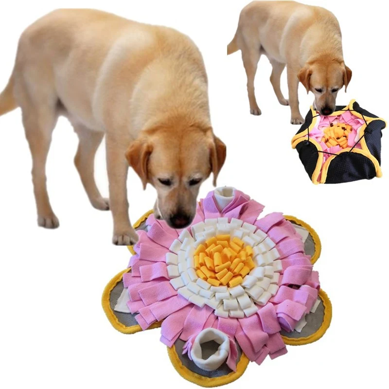 Title 2, The pet sniffs the mat. Provide mental stimulat...