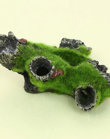 Image product - 1
