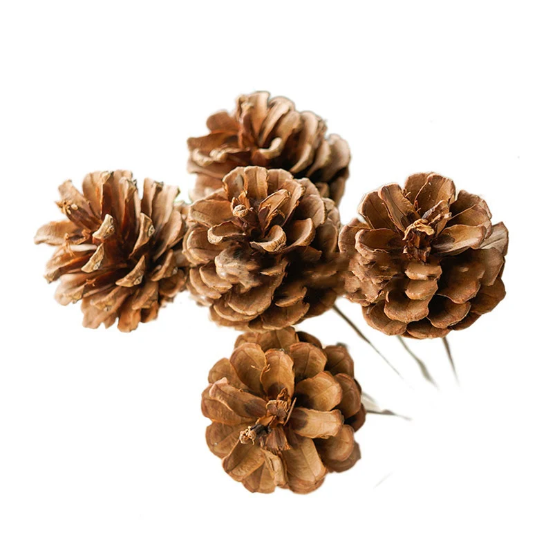Title 1, Natural Single Pine Fruit Dried Flower for Kind...
