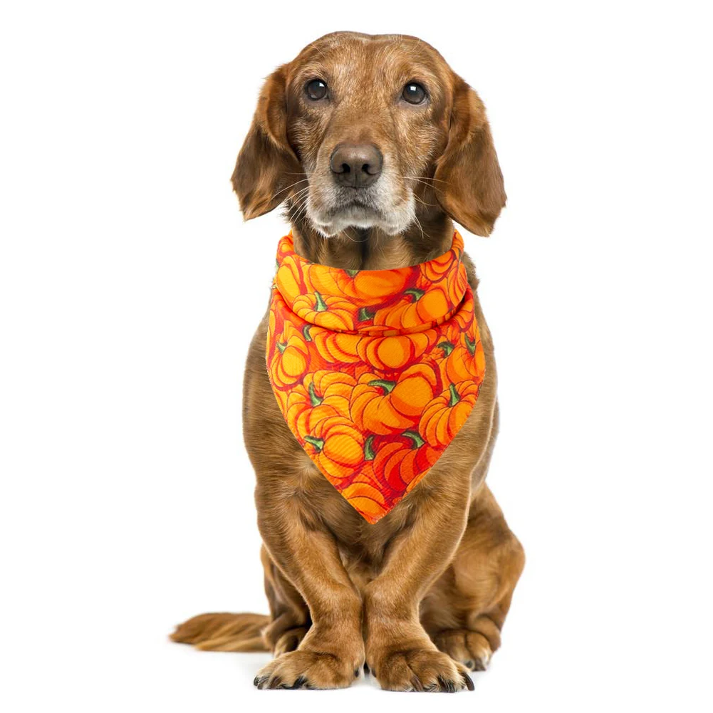 Title 4, Halloween Pet Saliva Towel. Effectively cleans ...