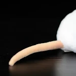 Boneca de pelúcia de rato Brinquedo animal de simulação realista Macio e fofinho Perfeito para crianças e amantes de animais Um presente ideal — foto 2
