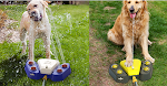 miniatures image - 1
