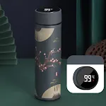 Q