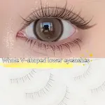 V Shaped Whole Lower Eyelashes
