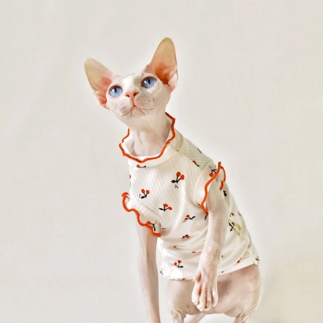 product image - 0