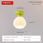 6605 Light Green Ceiling Lamp