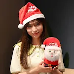 Santa Claus Style 2