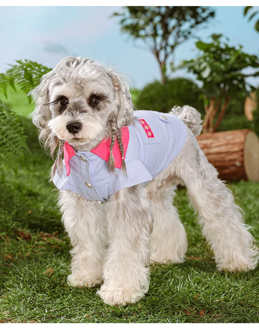 Title 9, Small Dog Summer Clothes Vest with Traction Rop...