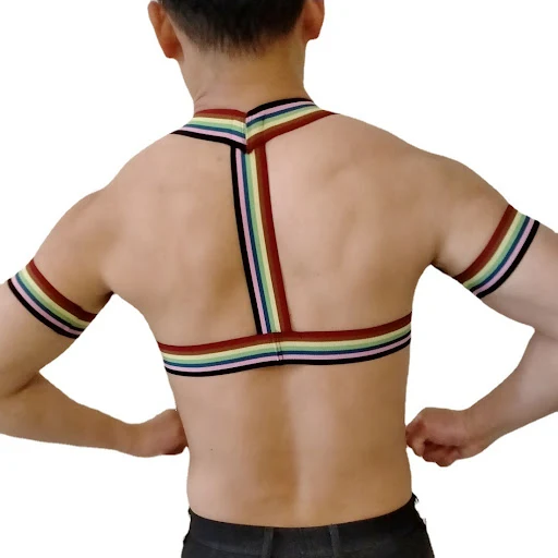 Title 1, Mens Stage Performance Chest Strap Secure Micr...