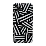 Black and white stripes