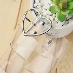 Silver Transparent Band