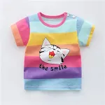 Rainbow cat