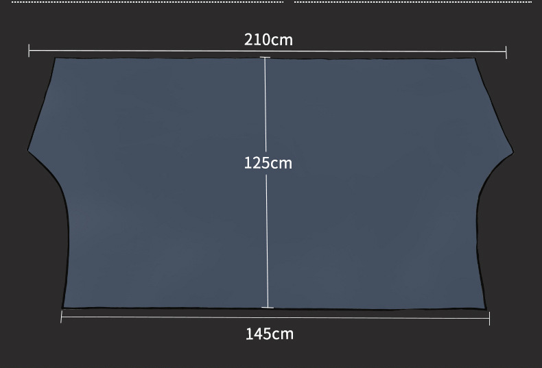 Title 3, Magnetic Car Sunshade and Snow Gear with 5 Magn...