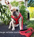 Red letter traction