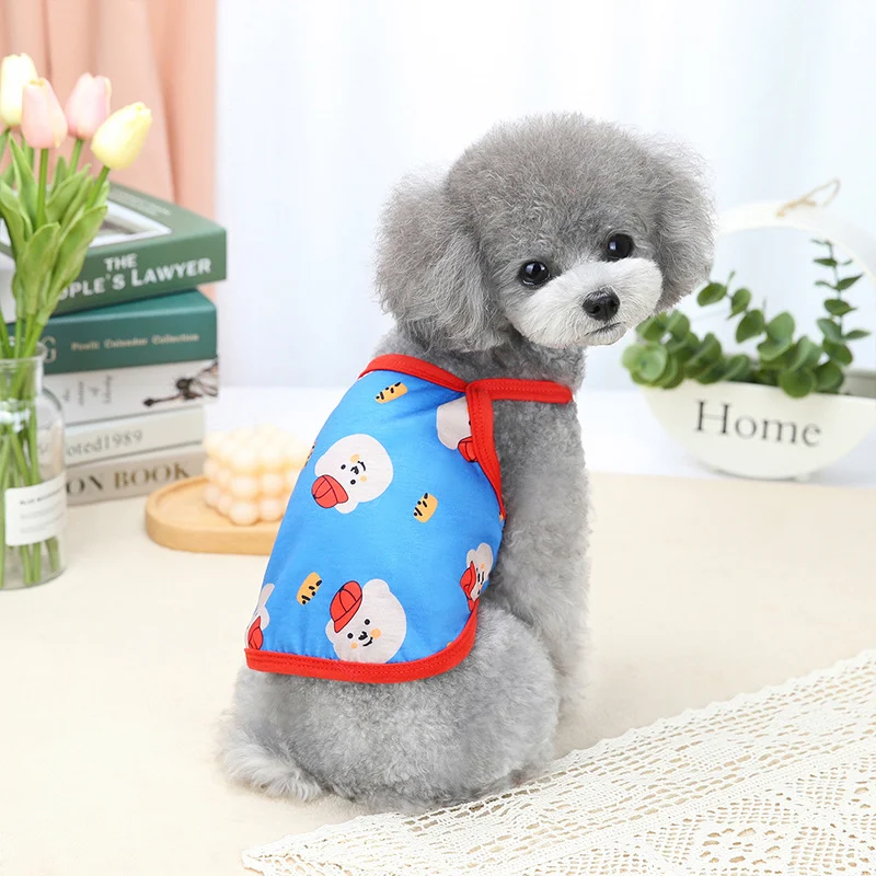 Title 4, Teddy Red Riding Hood Bear Sling for baby. Safe...