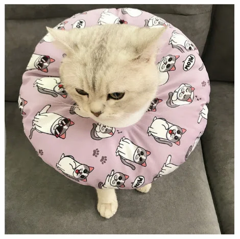 Waterproof Pet Headgear for Post-Surgery, Sterilization Protection, Bite, Lick, and Scratch Resistance. — photo 4