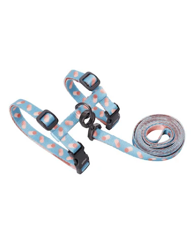 Image product - 2