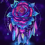 40x40cm