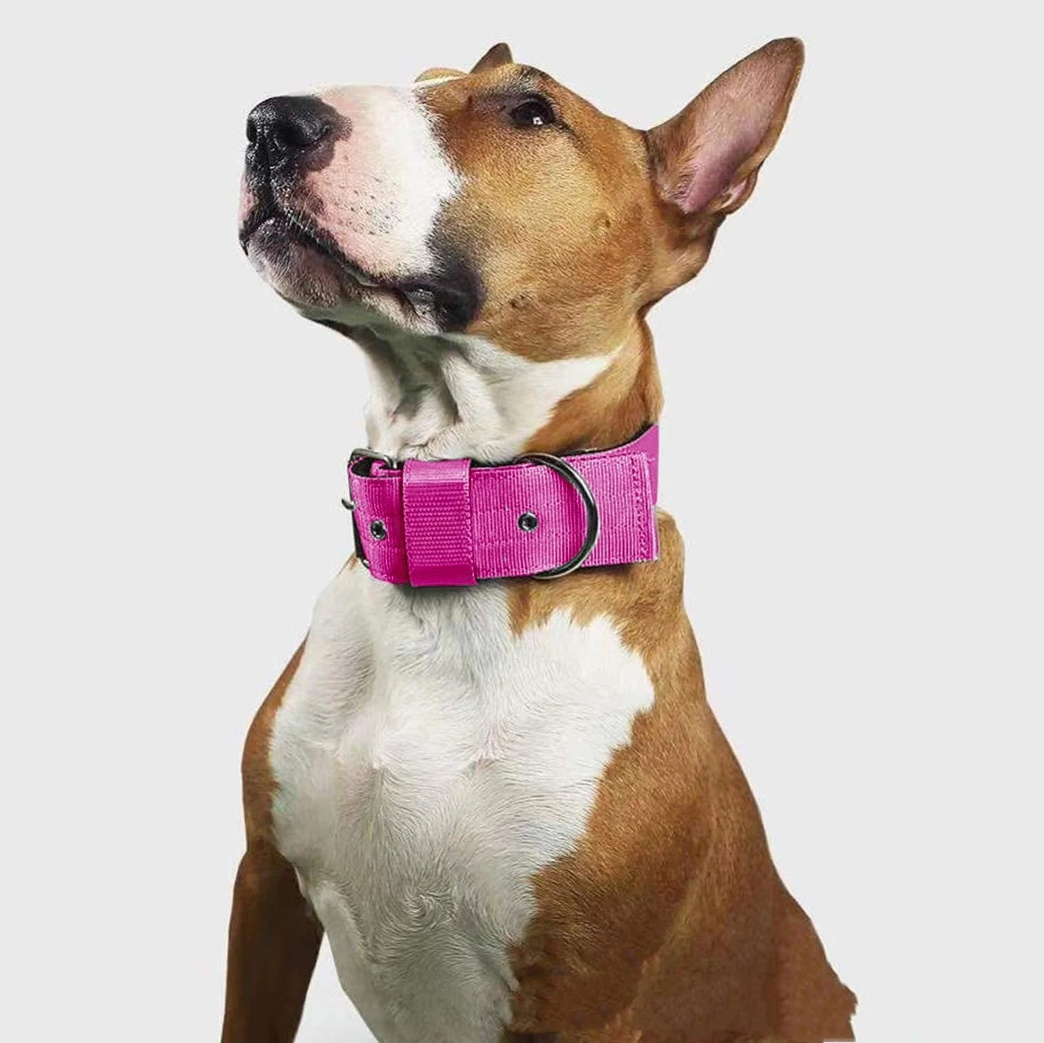 Title 3, Pet Dog Collar Foam Scarf Nylon Bandana. Comfor...