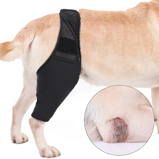 Pet Knee Pads For Joint Injury Recovery Legs Protector Dog Thigh Brace Wrap Adjustable Support Belt Post-operative Fixat — photo 5