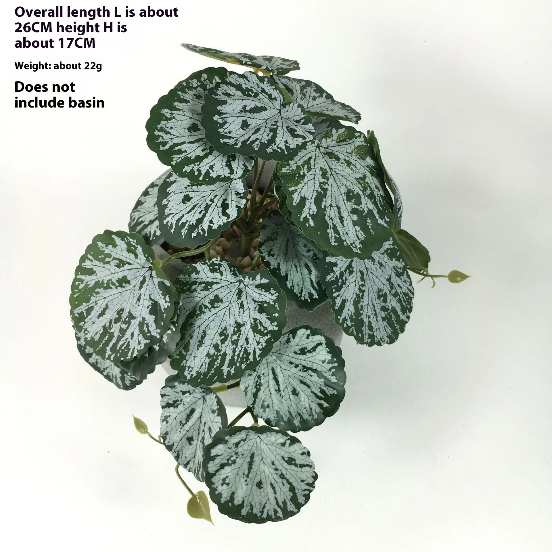 product image - 11