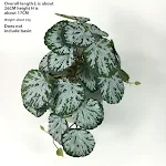 miniatures image - 11