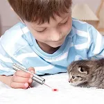 miniatures image - 2
