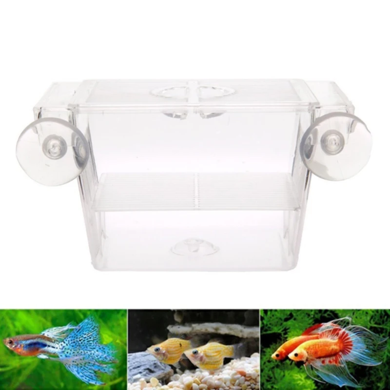 Title 5, Transparent Acrylic Fish Tank Breeding Isolatio...