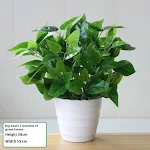 miniatures image - 23