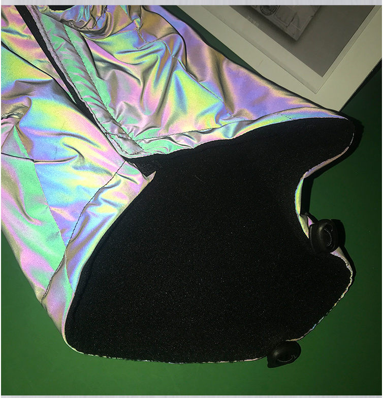 Title 2, Fashionable dog hoodie, windbreaker, and reflec...