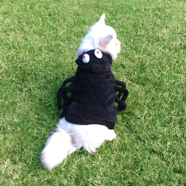 Title 6, Halloween Funny Spider Style Cat Dog Clothes, a...