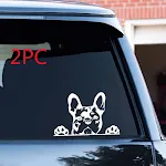2PCS