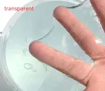 L
